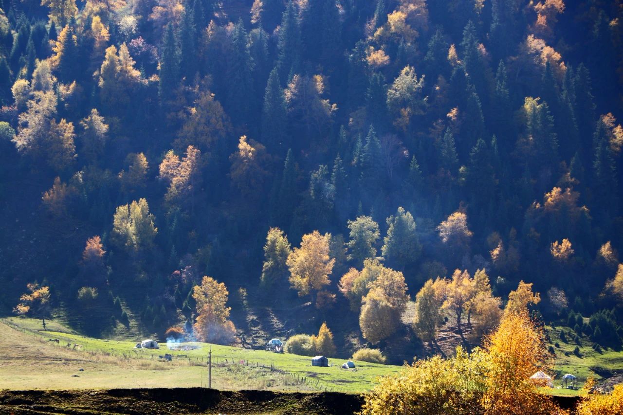 1697250653359813.jpg 07.jpg