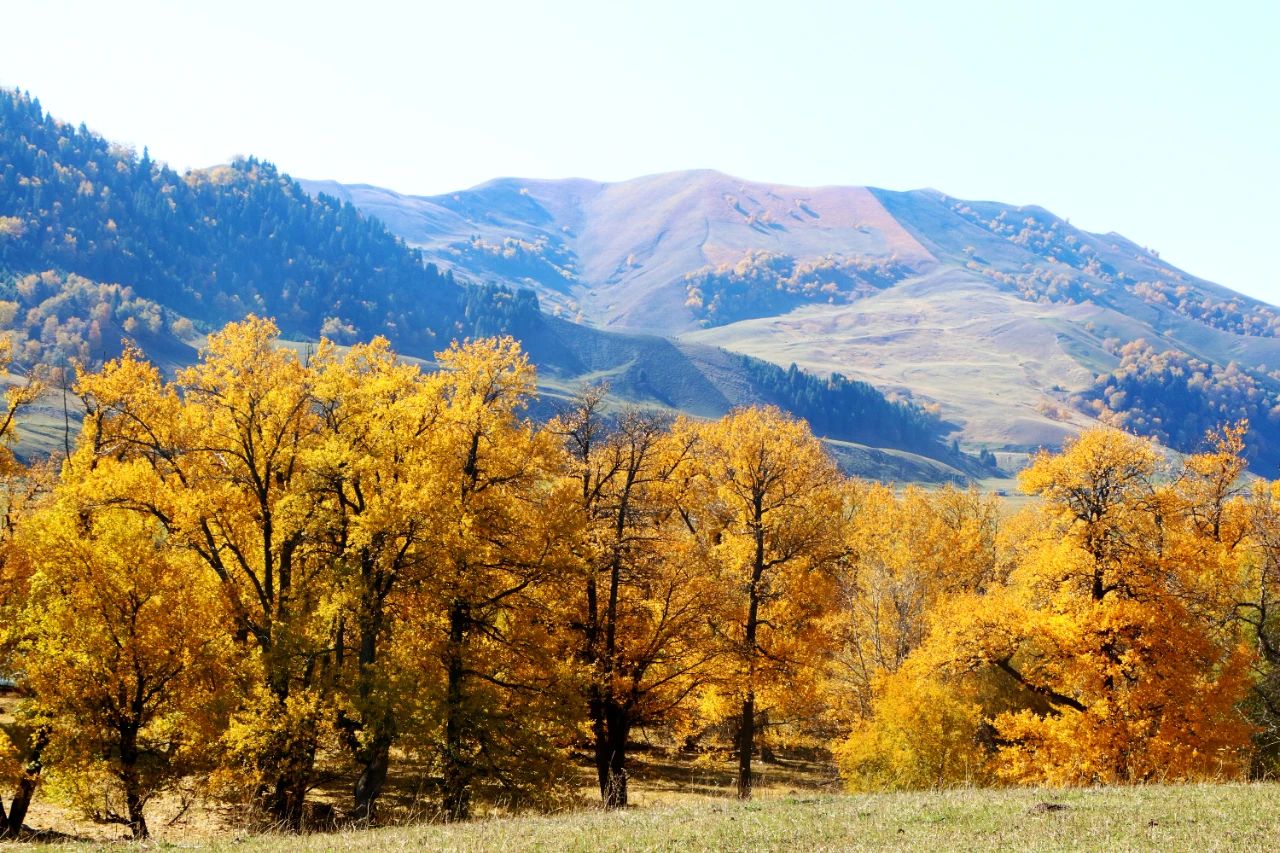 1697250685477402.jpg 10.jpg