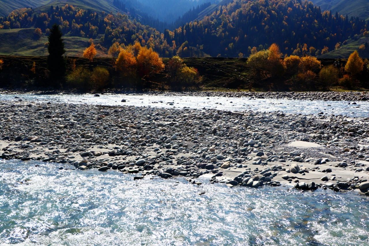 1697250747792493.jpg 15.jpg