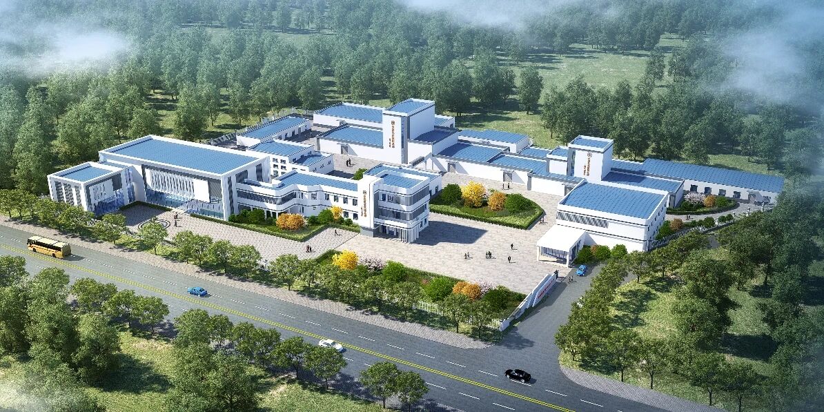 1763089400346614.jpg 04.jpg